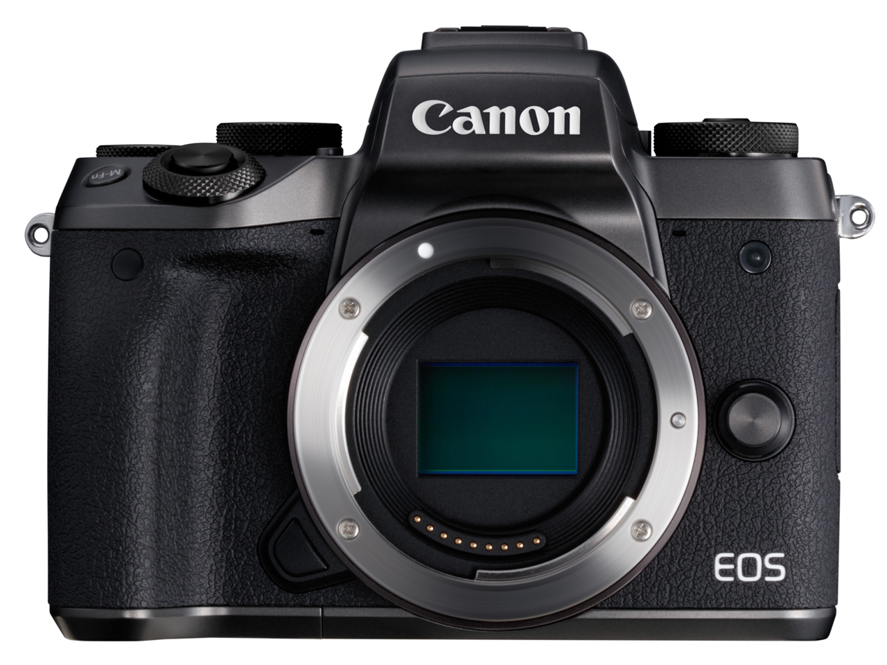 キヤノン EOS M5