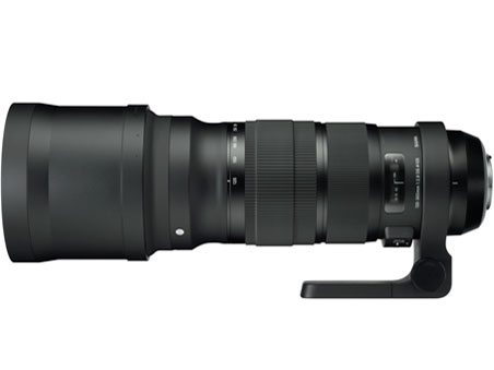 シグマ 120-300mm F2.8 DG OS HSM