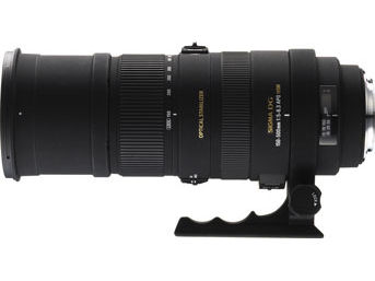 シグマ APO 150-500mm F5-6.3 DG OS HSM (ﾆｺﾝ用)